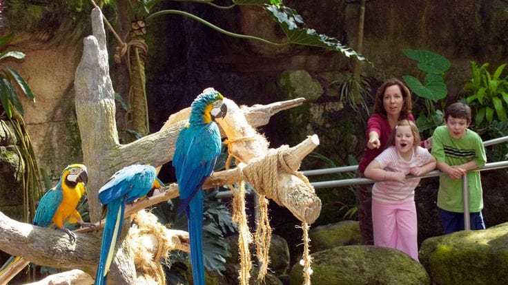 Family visiting Moody Gardens Galveston